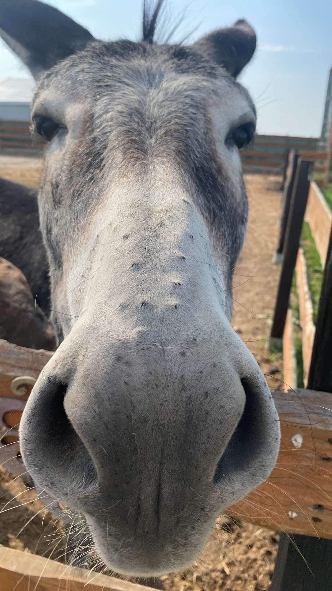 Zagroda Zabłocie - Agroturystyka